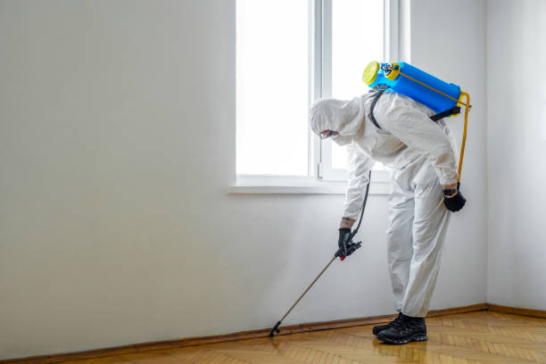 Best Pest Inspection Near Me  in Dickinson, ND