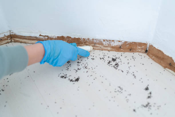 Best Exterminator Services  in Dickinson, ND