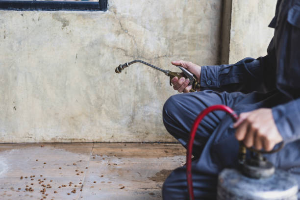 Best Pest Prevention Services  in Dickinson, ND